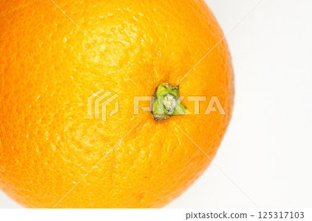 臍橙 臍橙 125317103