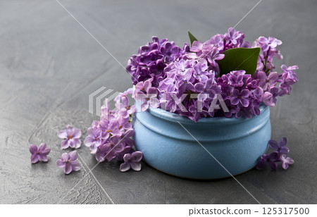Bouquet lilac flower on concrete backgrounds 125317500
