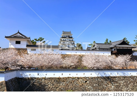 [廣島縣] 春天的櫻花盛開的福山城（重建後）福山城櫻花節 125317520
