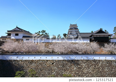 [廣島縣] 春天的櫻花盛開的福山城（重建後）福山城櫻花節 125317521