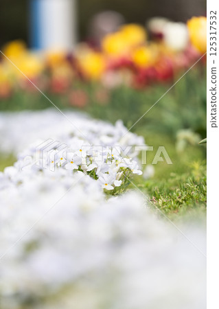 Many flowers 125317532