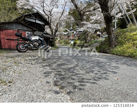 Sakura and Kage Touring 125318814