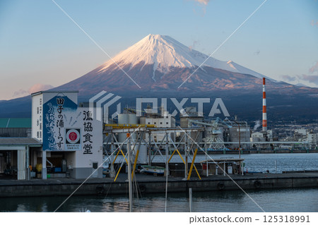 Mount Fuji as seen from Tagonoura 125318991