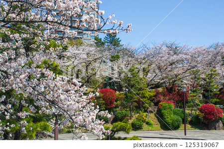 飛鳥山公園的春天風景 125319067