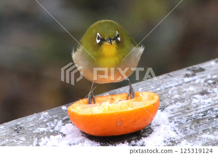 Me and the mandarin orange 125319124