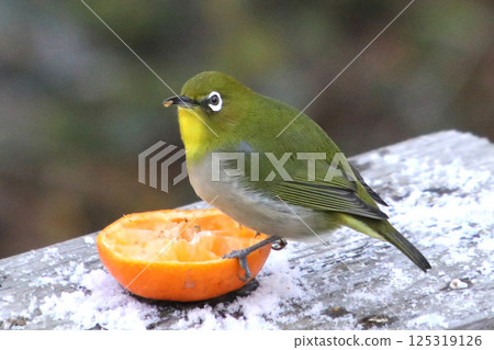 我和橘子 125319126