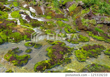 Chatsubomi Moss Park / Hole Hell Chatsubomi Moss Park / Hole Hell 125319210