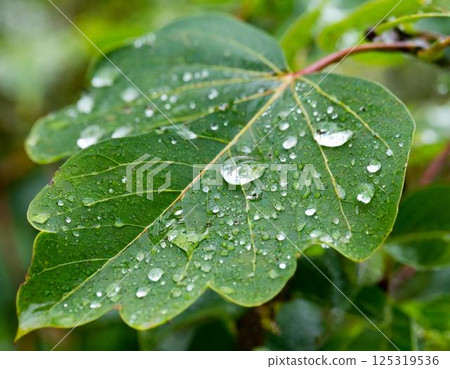 留下水滴 125319536