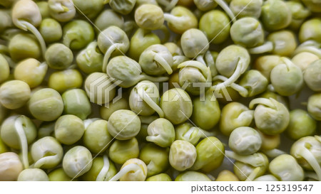 Microgreens. Growing Peas at Home. Step-by-Step Instructions. Microgreens. Growing Peas at Home. Step-by-Step Instructions. 125319547