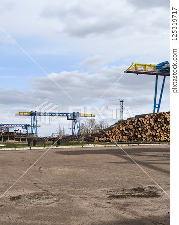 crane with gripper for logs. Platform for the preparation of fuel chips. platform with a crane and a stack of timber. logging, sawmilling. crane with gripper for logs. Platform for the preparation of fuel chips. platform with a crane and a stack of timber. logging, sawmilling. 125319717