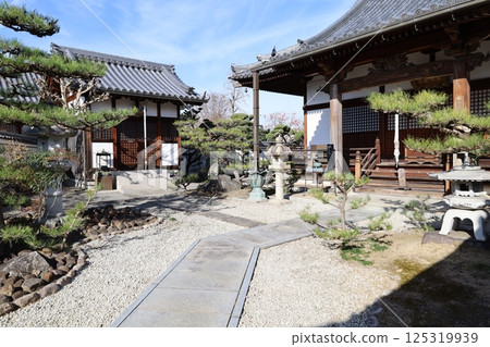 大阪府岸和田市久米田寺境內的五大院景觀 大阪府岸和田市久米田寺境內的五大院景觀 125319939