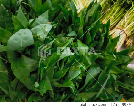 Fresh wild garlic leaves forming a vibrant green background at farmers Holesovice market in Prague, Czech republic 125319989