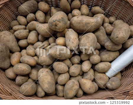 Wicker basket overflowing with freshly harvested potatoes in Prague, Czech republic at Holesovice market 125319992