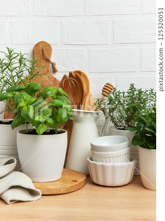 Fresh herbs growing in pots, kitchen utensils, and white crockery creating a cozy kitchen atmosphere 125320051