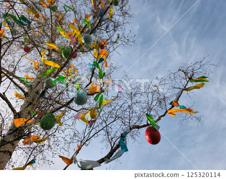 Easter tree decorated with colorful eggs and ribbons in prague 125320114