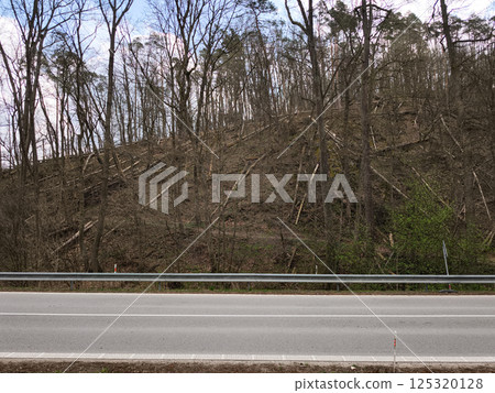 Toppled trees blanketing steep hillside alongside paved roadway, revealing forest destruction aftermath Toppled trees blanketing steep hillside alongside paved roadway, revealing forest destruction aftermath 125320128