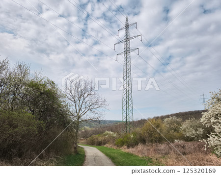 Electrical transmission tower rising above verdant woodland, traversing hiking path beneath overcast sky Electrical transmission tower rising above verdant woodland, traversing hiking path beneath overcast sky 125320169
