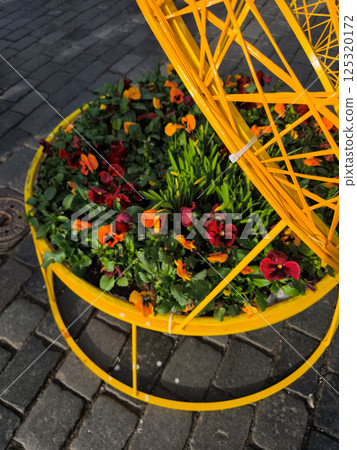 Colorful pansies growing in a yellow street planter in prague 125320172