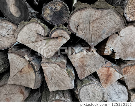 Firewood logs neatly stacking, revealing intricate wood grain patterns against weathered background 125320195