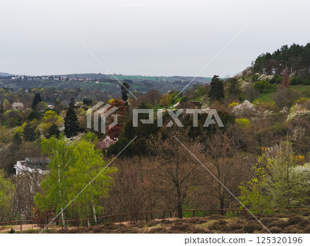 Scenic view of verdant hills of prague botanical gardens and blossoming trees 125320196