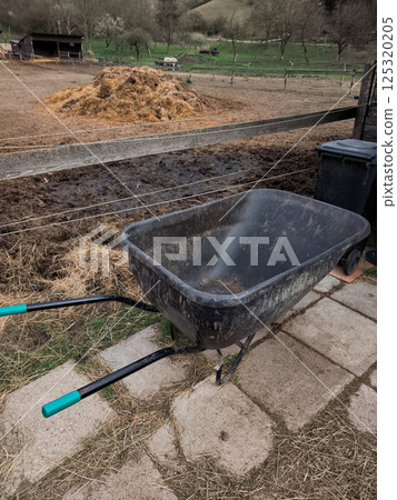 Empty black wheelbarrow standing on concrete slabs next to a pile of manure in a horse paddock, ready for farm work 125320205