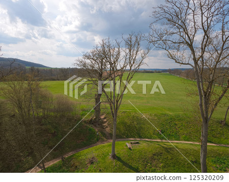 Scenic view of a green meadow with bare trees and a cloudy sky, capturing the transition from winter to spring 125320209