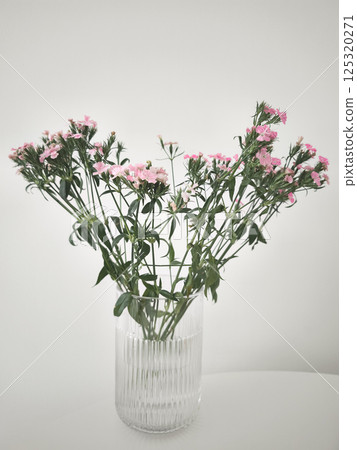 Pink carnations bouquet in elegant glass vase on white table copy space 125320271