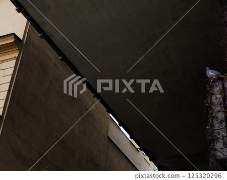 Pigeon resting on a concrete pillar under a bridge Pigeon resting on a concrete pillar under a bridge 125320296