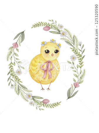 watercolor cute chicken and flower on white background watercolor cute chicken and flower on white background 125320590