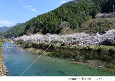 仁淀川町親近公園賞櫻（高知縣土井川市） 125320880