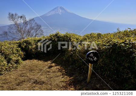 從天子山天嶽山頂眺望富士山 125321108