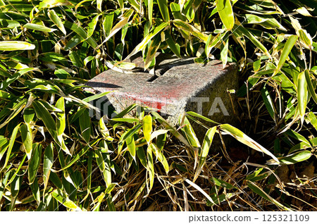 天子山：天嶽山頂三角測量點、三級三角測量點（天嶽） 125321109