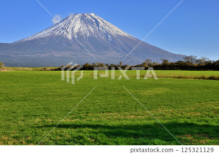 從靜岡縣富士宮市朝霧高原的草原上眺望雄偉的富士山 125321129