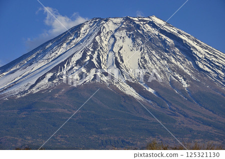 從靜岡縣富士宮市朝霧高原眺望雄偉的富士山 125321130