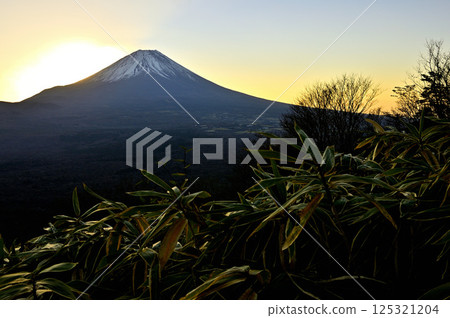 Mount Fuji before dawn, seen from Mount Ryugatake in the Tenshi Mountains 125321204