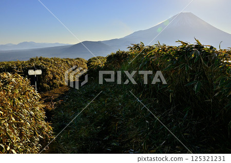 天子山的龍岳：竹草田與逆光下的富士山的轉折點 125321231