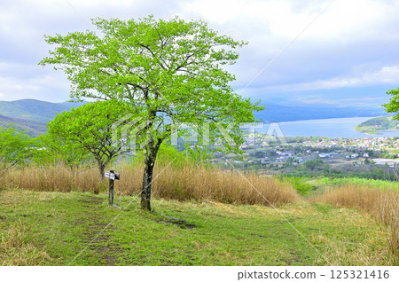 丹澤的甲州邊境山脊:高足山頂上綠意盎然的山中湖 丹澤的甲州邊境山脊:高足山頂上綠意盎然的山中湖 125321416