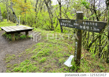 Tanzawa's Koshu border ridge: The summit of Mt. Takasashi with fresh greenery Tanzawa's Koshu border ridge: The summit of Mt. Takasashi with fresh greenery 125321417