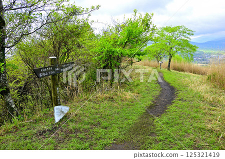丹澤甲州邊境山脊：新綠盎然的高差山山頂 125321419
