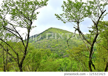 從丹澤高足山眺望,大岩石上綠意盎然 從丹澤高足山眺望,大岩石上綠意盎然 125321423