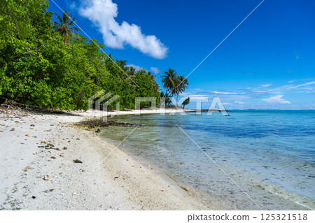 White sand beach of Motu Pitiahe with turquoise lagoon, Maupiti, French Polynesia 125321518