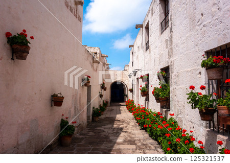Inner Courtyards and Gardens at Santa Catalina Monastery, Arequipa 125321537