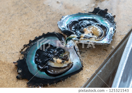 Tahitian Black Pearl Oyster on Tahaa Island, French Polynesia 125321543