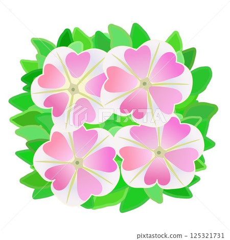 Petunia flower and leaves illustration 125321731