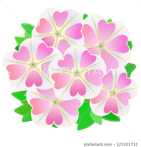 Petunia flower and leaves illustration 125321732