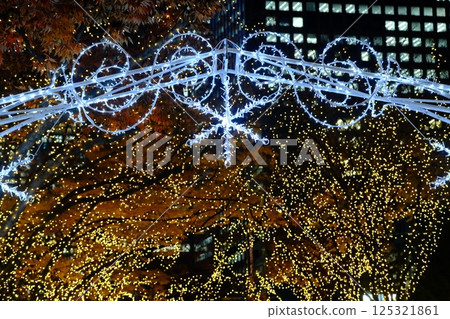 Street trees and illuminations in front of Osaka City Central Public Hall Street trees and illuminations in front of Osaka City Central Public Hall 125321861