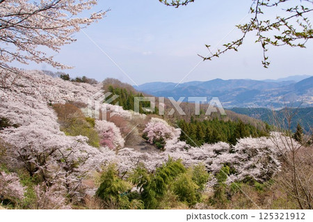 櫻山公園 125321912