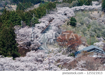 櫻山公園 櫻山公園 125321913