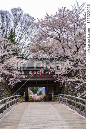 Takashima Castle gate with cherry blossoms in full bloom 125322028