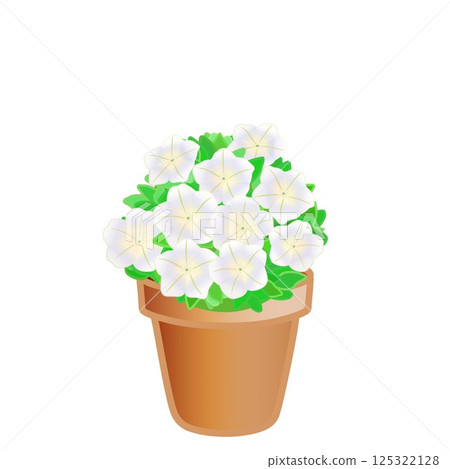 盆栽矮牽牛的插圖 盆栽矮牽牛的插圖 125322128